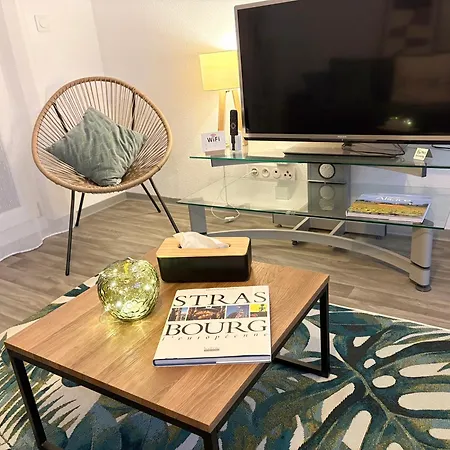 Le Clos De La Bruche Cozy Et Elegant - Terrasse-parking * Strasbourg