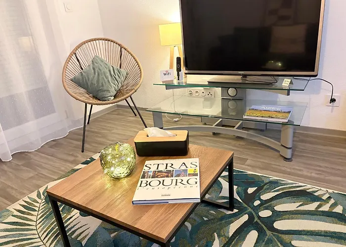 Le Clos De La Bruche Cozy Et Elegant - Terrasse-parking * Strasbourg