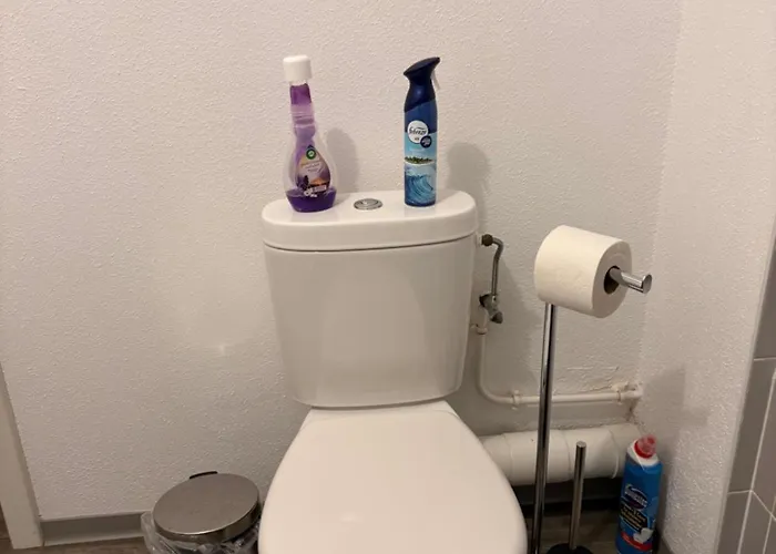 Apartment Le Clos De La Bruche Cozy Et Elegant - Terrasse-parking